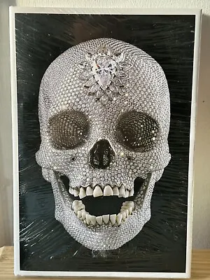 Damien Hirst - For The Love Of God The Making Of The Diamond Skull • £35.99