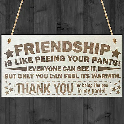Friendship Sign Best Friend Plaque Gift Shabby Chic Stars & Thank You - READ ME • £3.99