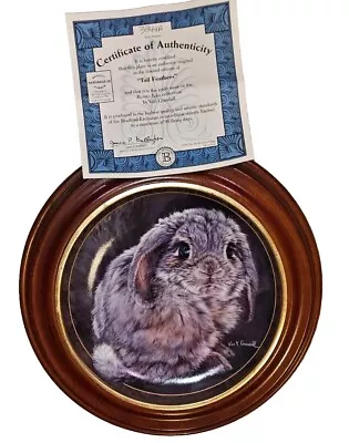 Tale Feather Plate Bunny Tales Vivi Crandall #2 Bradford Exchange Framed 97 • $18.55