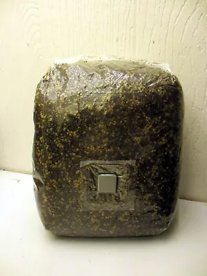 LARGE All-in-One 3 LB Dung / Compost Lover Mushroom Grow Kit - Millet & CVG Sub! • $19.99