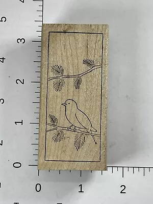 Memory Box Pine Branch Bird D1810 • $5.49