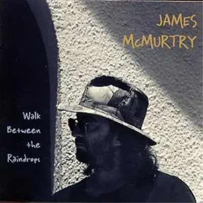 James McMurtry Walk Between The Raindrops (CD) Album (US IMPORT) • £14.76