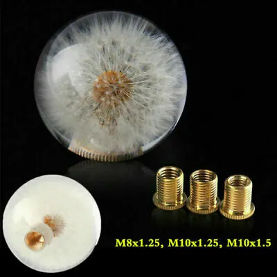 Universal Crystal Ball Dandelion Real Flowers Shift Knob Shifter M8 M10 M12 • $19.88