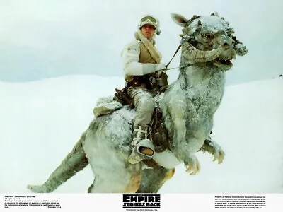 1980 Star Wars Episode V The Empire Strikes Back Movie Poster Print Hoth Luke🔥 • $7.95