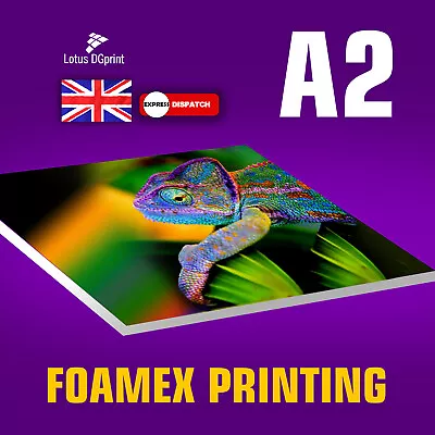 A2 (420x594 Mm) Size Foamex Foam Board Sign Full Colour Printing 3-5mm Thickness • £3