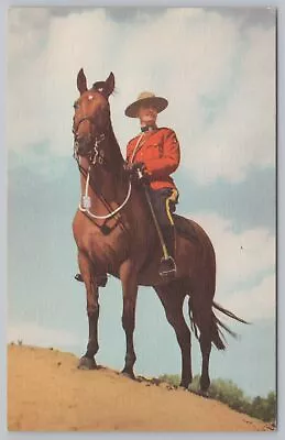 Animal~Canadian Mounty On Sandy Hill~Vintage Postcard • $1.35