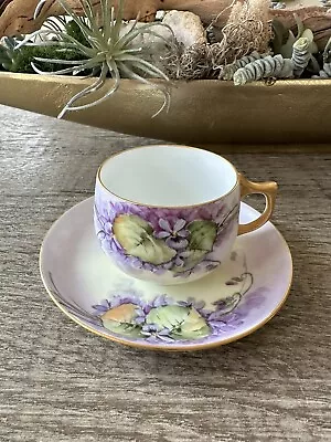 Sweet Rosenthal Bavaria Handpainted Purple Violets Teacup & Saucer • $45