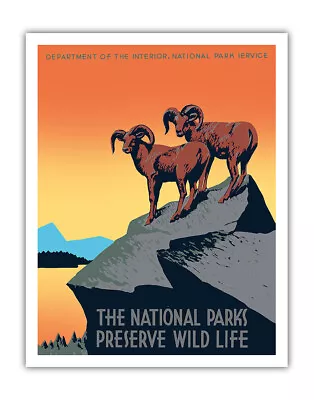 National Parks Preserve Wild Life - Bighorn Sheep - Vintage Travel Poster 1939 • $15.98