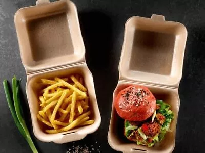 Small Insulated Clamshell Takeaway Food Box Burger Box Fish & Chip Tray Packages • £6.20