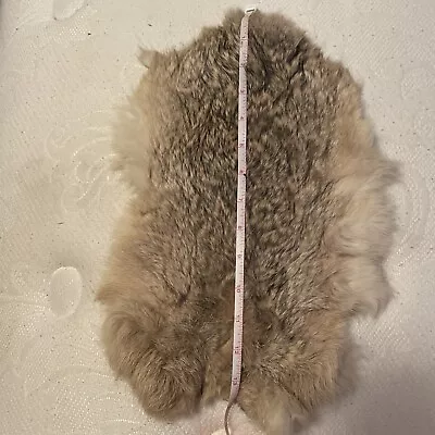 Rabbit Skin Fur Pelt 13 Inch Long By 8 Inch Wide • $20