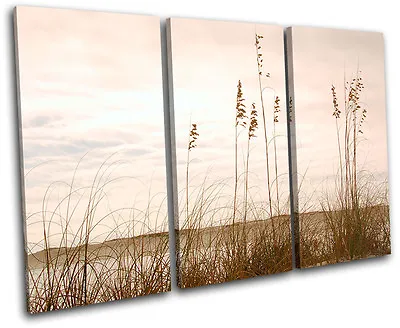 Grass Field Floral TREBLE CANVAS WALL ART Picture Print VA • £34.99