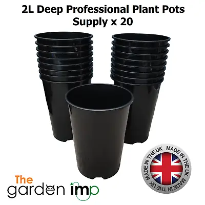 2L Litre Deep Rose Plant Pots Black Round Tall Strong Garden Plastic Pot | 20 • £12.99