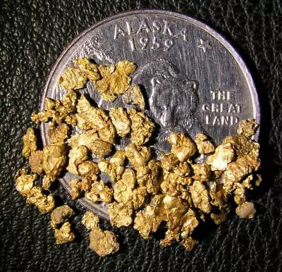 Alaska Gold Nuggets 2 Grams - Beautiful Natural  Alaska Gold ! • $133.51