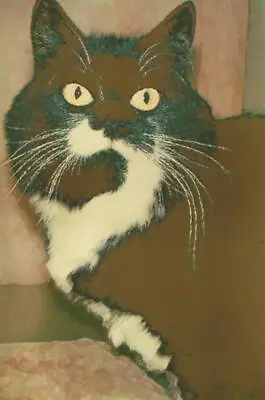 Modernist Digital Lithograph; Tolly The Cat Hand Signed; Reid-Mills 2003 • $1.25