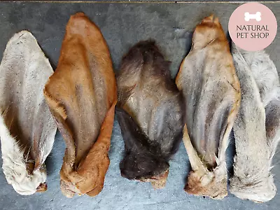 Cow Ears Dog Chews Natural Hairy Treats Healthier Than Pigs Similar To Rabbit • £9.99