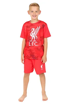 Boys Liverpool F.C Red Camouflage Short LFC Pyjamas • £14.99