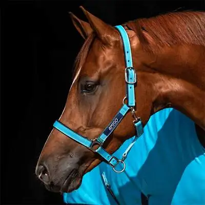 Amigo Padded Nylon Halter - Closeout • $19.93