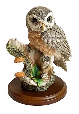 Vintage Country Artists Little Owl In Tree Hollow 01586 Figure 2000 • £14.99