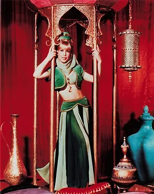 I Dream Of Jeannie TV Photo Movie Actress 8x10 Genie Pin Up   *P129c • $11.69