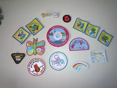 Rainbow And Brownie Guide Badge • £3