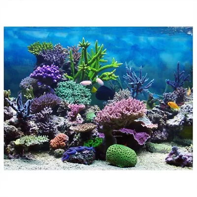 PVC Adhesive Underwater Coral Aquarium Fish Tank Background Poster Backdrop BGS • £5.16