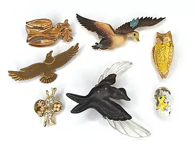 Vintage Jewelry Lot Bird Eagle Owl Duck Brooch Pin Some Signed Wear Resell • $27.99