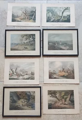 £45 • Buy 8 Antique Coloured Aquatint Coursing Hunting Shooting Prints After Samuel Howitt