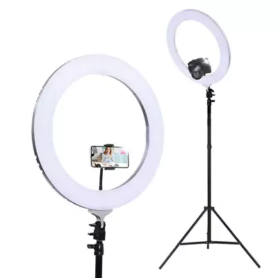 Embellir Ring Light 19  LED 6500K 5800LM Dimmable Diva With Stand Silver • $138
