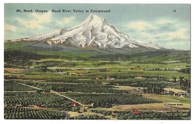Mt. Hood Oregon C1940's Hood River Valley Agriculture Orchards • $1.45