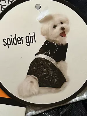 Martha Stewart Pets Spider Girl Halloween Dog Costume Large NEW • $9