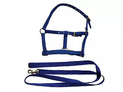 Mini Headcollar + Lead Rein Miniature Shetland • £7.99