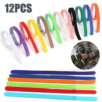 12 Newborn Whelping Id Bands Pet Puppy Kitten Identification Adjustable Collars • £3.98