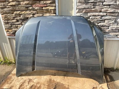 $387 • Buy 2015 2016 2017 2018 2019 2020 Ford F150 Hood Oem