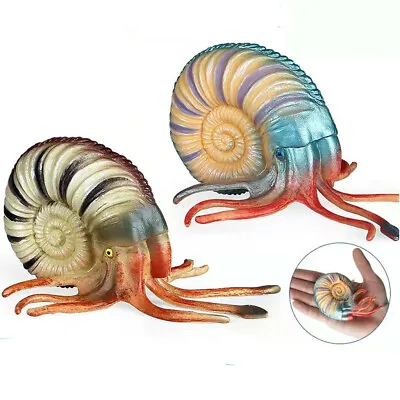 Ocean Animal Paleontology Pearly Nautilus Figure Collector Toy Model Kids Gift • $12.23