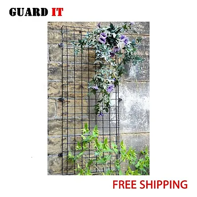 Wall Mounted Wire Mesh Garden Trellis Plant Support • £23.95