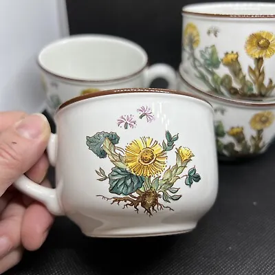 Villeroy & Boch Botanica Dandelion Cup Coffee #2 Luxembourg Lot Of 7 Replace • $53.10