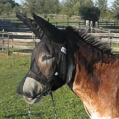 QUIET RIDE MULE DONKEY FLY MASK LONG NOSE And LONG EARS YEARLING LARGE PONY • $39.99