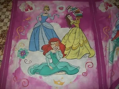 Disney Princess Panel -One Of A Kind - Hot Pink • $13