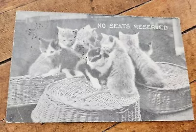 Vintage 1907 Humorous Litho Postcard Undivided Back NO SEATS RESERVED Kittens • $6.98