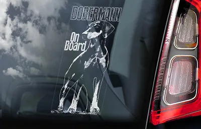 £3.50 • Buy DOBERMANN Car Sticker, Doberman K9 Dog Window Sign Bumper Decal Gift Pet - V5