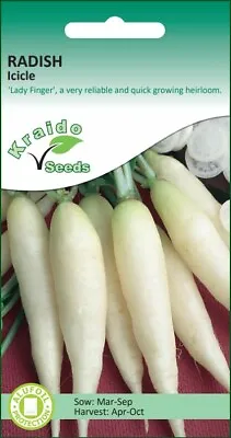 Radish Seeds White Icicle - 500 Seeds - Vegetable Seeds Raphanus Sativus • £2.49