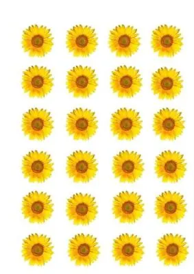 Pretty Yellow Sunflower Flowers - Edible Cupcake Topper Decorations • £2.99