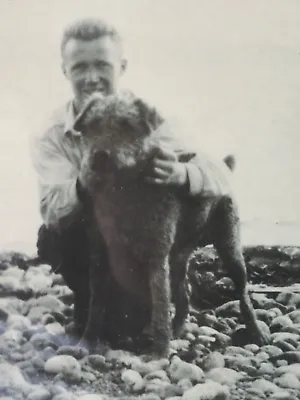 Vintage Sepia Photo Airedale Welsh Lakeland Terrier Dog & Man At Beach Framed! • $20