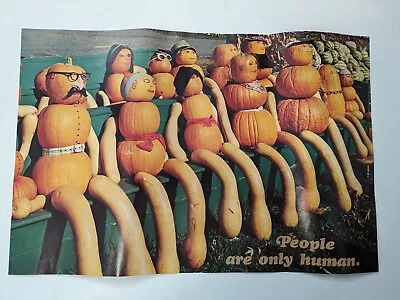 Vintage 1976 - People Are Only Human Poster Argus #2320 Pumpkins Squash Fall Art • $39