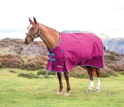 £64.99 • Buy Shires Highlander Original 300g Horse/Pony Turnout Rug | Raspberry| 5'0 -7'3 