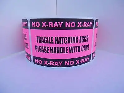 $18.90 • Buy 250 FRAGILE HATCHING EGGS HANDLE With CARE NO X-RAY 2x3 Sticker Label Fluor Pink