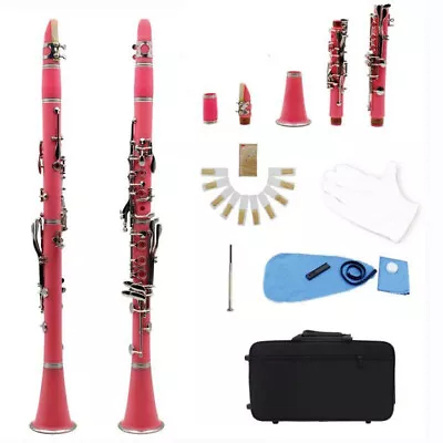 B Flat Clarinet Instrument 17 Key Bakelite Set For Beginners Color Clarinet • $165