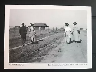 POSTCARD UNPOSTED CALIFORNIA LA BREA TAR PITS- WILSHIRE BOULEVARD C 1908 -REPRO • $5