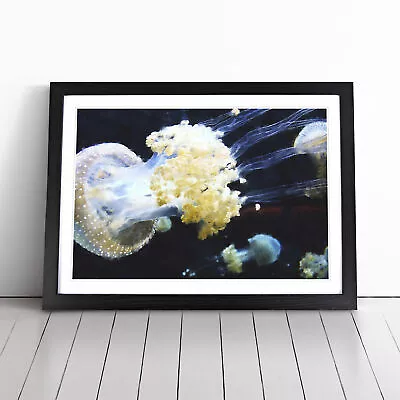 Jellyfish Vol.3 Wall Art Print Framed Canvas Picture Poster Decor Living Room • $21.10