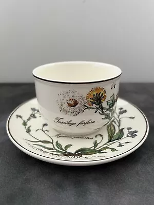 VILLEROY & BOCH BOTANICA CUP AND SAUCER SETS Lot Of 12 Exceptional Condition. ￼ • $132